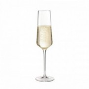 Taurė šampanui Leonardo PUCCINI, 280 ml