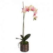 Dekoratyvinė dirbtinė rožinė orchidėja rudame vazone Shishi, 65 cm