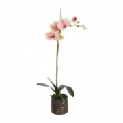 Dekoratyvinė dirbtinė rožinė orchidėja vazone Shishi, 65 cm