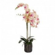 Dekoratyvinė dirbtinė trijų šakų rožinė orchidėja vazone Shishi, 90 cm