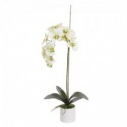 Dekoratyvinė dirbtinė žalia orchidėja vazone Shishi, 75 cm