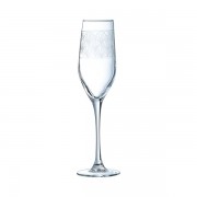 Taurės šampanui Luminarc PARADISIO, 160 ml, 4 vnt