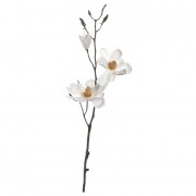Dirbtinė gėlė  Leonardo VERNAZZA Magnolia, 80cm