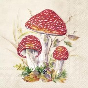 Servetėlės IHR TOAD, kreminės sp., 33 x 33 cm