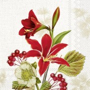Servetėlės IHR NOSTALGIC AMARYLLIS, kreminės sp., 33 x 33 cm