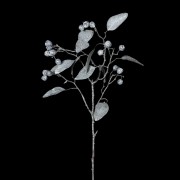 Dirbtinė šaka Coach House GLITTER EUCALYP/BERRY STEM