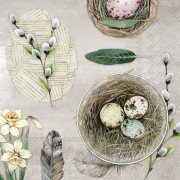 Servetėlės IHR EGGS AND FEATHERS, marga, 33 x 33 cm