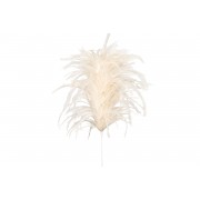 Plunksnos šaka A Lot Feather Puff Creme, kreminė sp., 90 cm