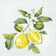 Popierinės servetėlės Lemon wreath, mėtinės sp., 25x25 cm