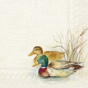 Servetėlės HUNTED DUCKS, kreminės sp., 25 cm x 25 cm