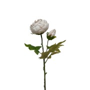 Dirbtinė gėlė Maggie PEONY SINGLE DRY BEIGE, 62 cm