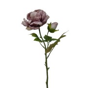 Dirbtinė gėlė Maggie PEONY SINGLE DRY PURPLE, 62 cm