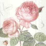 Servetėlės IHR ELISABETH, 33 x 33 cm