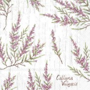 Servetėlės IHR CALLUNA VULGARIS, 33 x 33 cm