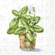 Servetėlės IHR AROMATIC HERBS, 25 x 25 cm