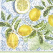 Servetėlės IHR CITRUS LIMON, 25 x 25 cm