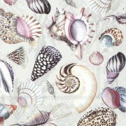 Servetėlės IHR SHELLS OF THE SEA, 25 x 25 cm