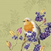 Servetėlės IHR BIRD LIFE, žalios sp., 33 x 33 cm
