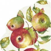 Servetėlės IHR HOME GROWN APPLES, kreminės sp., 34 cm
