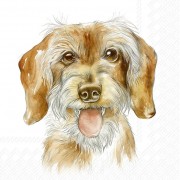 Servetėlės IHR FRITZ, 25 x 25 cm