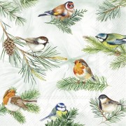 Servetėlės IHR CHARMING BIRDS, 33 x 33 cm