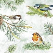 Servetėlės IHR CHARMING BIRDS, 25 x 25 cm