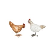 Dekoracija A Lot Rooster Hen Gloss, 1 vnt., 9 cm