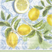 Servetėlės IHR CITRUS LIMON, 33 x 33 cm