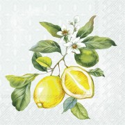Servetėlės IHR LEMON WREATH, 25 x 25 cm