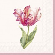 Servetėlės IHR DRISELLE, kreminės sp., 25 x 25 cm