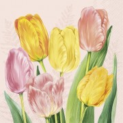 Servetėlės IHR SPRING TULIPS, šviesiai rožinės sp., 25 x 25 cm