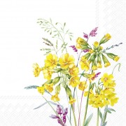 Servetėlės IHR CABRILLO, 33 x 33 cm