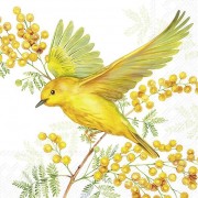 Servetėlės IHR JOY OF SPRING, šviesiai žalios sp., 25 x 25 cm