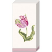 Servetėlės nosinaitės IHR DRISELLE, kreminės sp., 21 x 21 cm