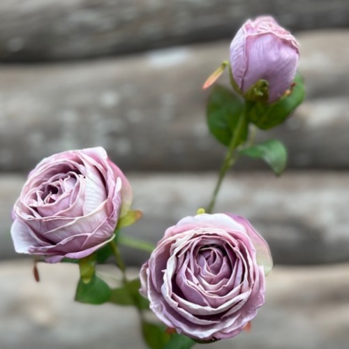 Dirbtinė gėlė Maggie ROSE SPRAY LIGHT PURPLE, 61 cm