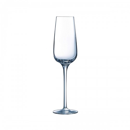Taurė šampanui Chef & Sommelier SUBLYM, 210 ml, nuomai