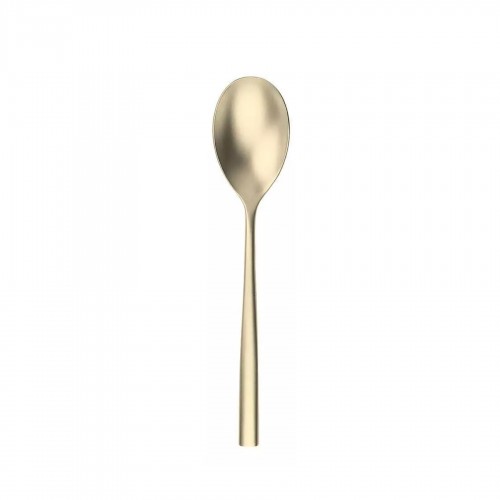 Stalo šaukštas Pintinox HEAVEN VELVET, šampano sp., 21 cm