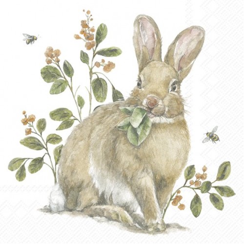 Servetėlės IHR GARDEN BUNNY, 25 x 25 cm