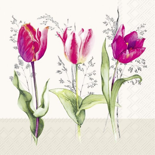 Servetėlės IHR TULIP BEAUTIES, kreminės sp., 33 x 33 cm