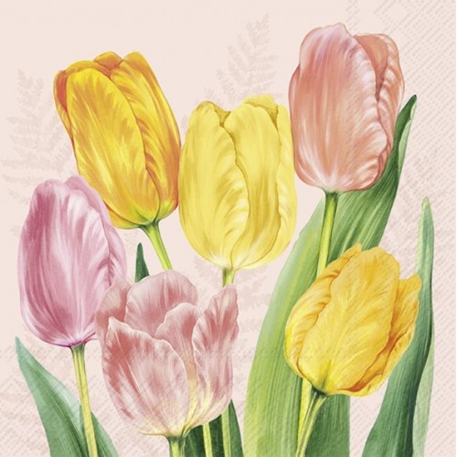 Servetėlės IHR SPRING TULIPS, šviesiai rožinės sp., 25 x 25 cm